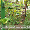 කාර්යාලයීය ගෙවත්ත